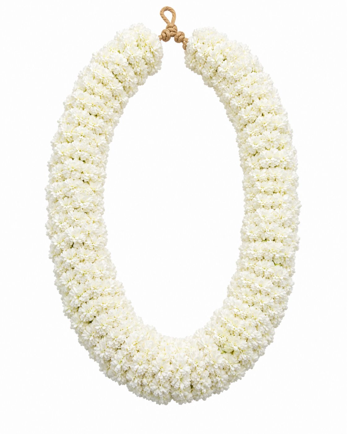 Fresh Rukhadi flower mala for bulk order in Jaipur
